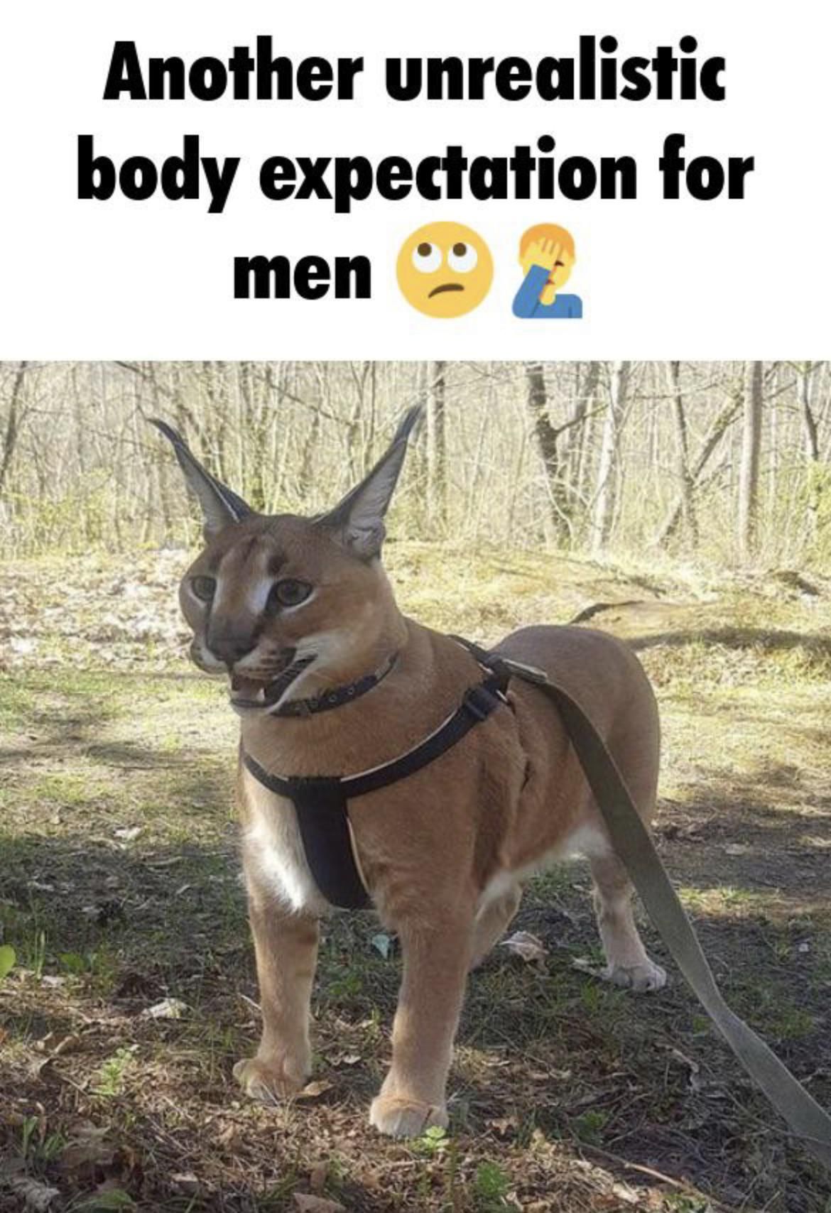 mgtow