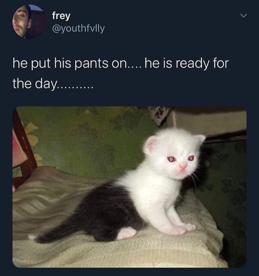 pants