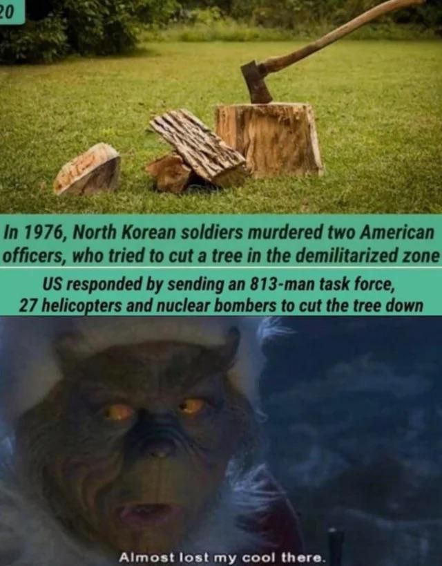Surprisingly good meme format, And for context: the Koreans killed the Americans because they thought the tree was planted by Kim Il-sung himself.