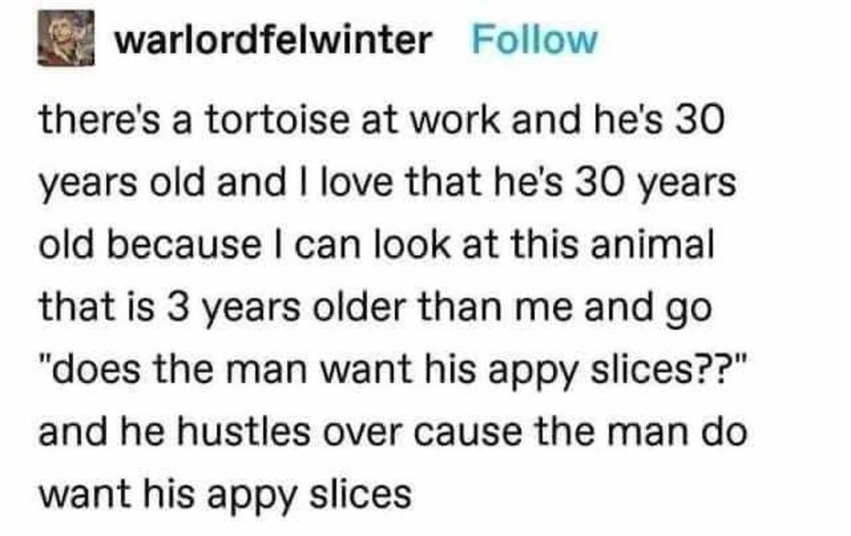 I also kinda want my appy slices