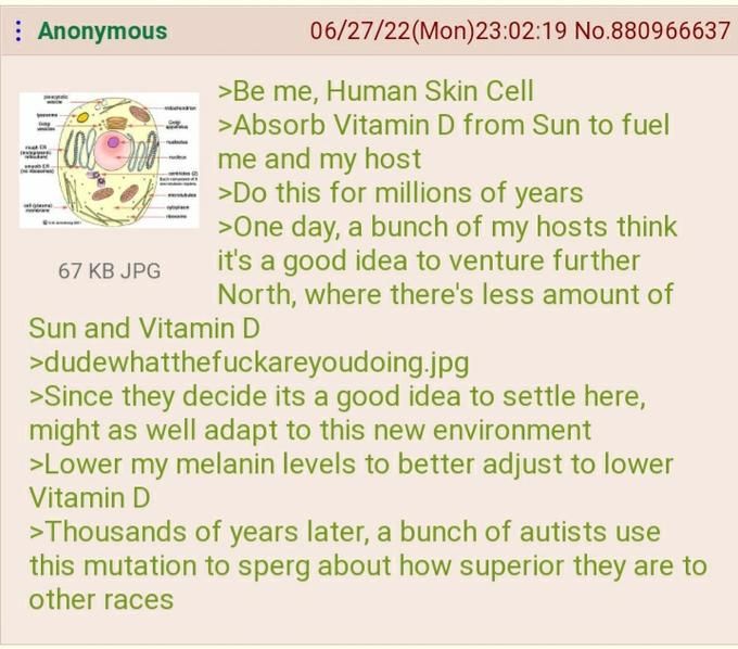 Anon is a skin cell