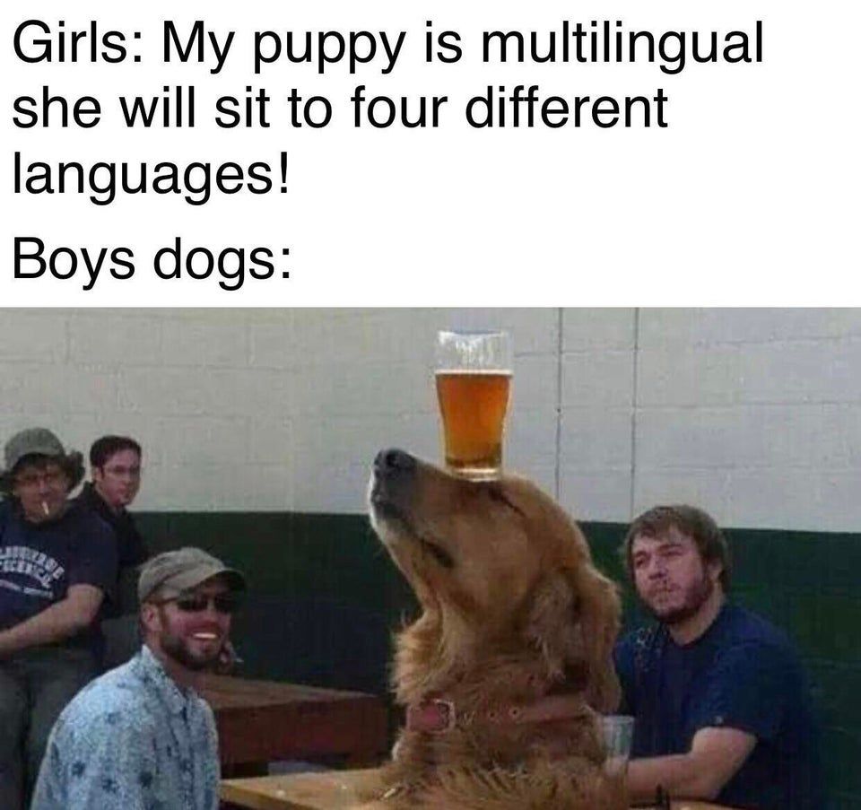 Good boi