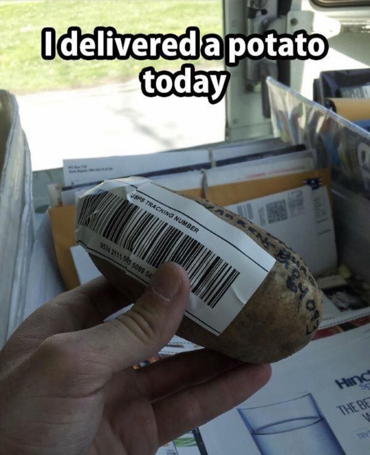 I delivered a potato today