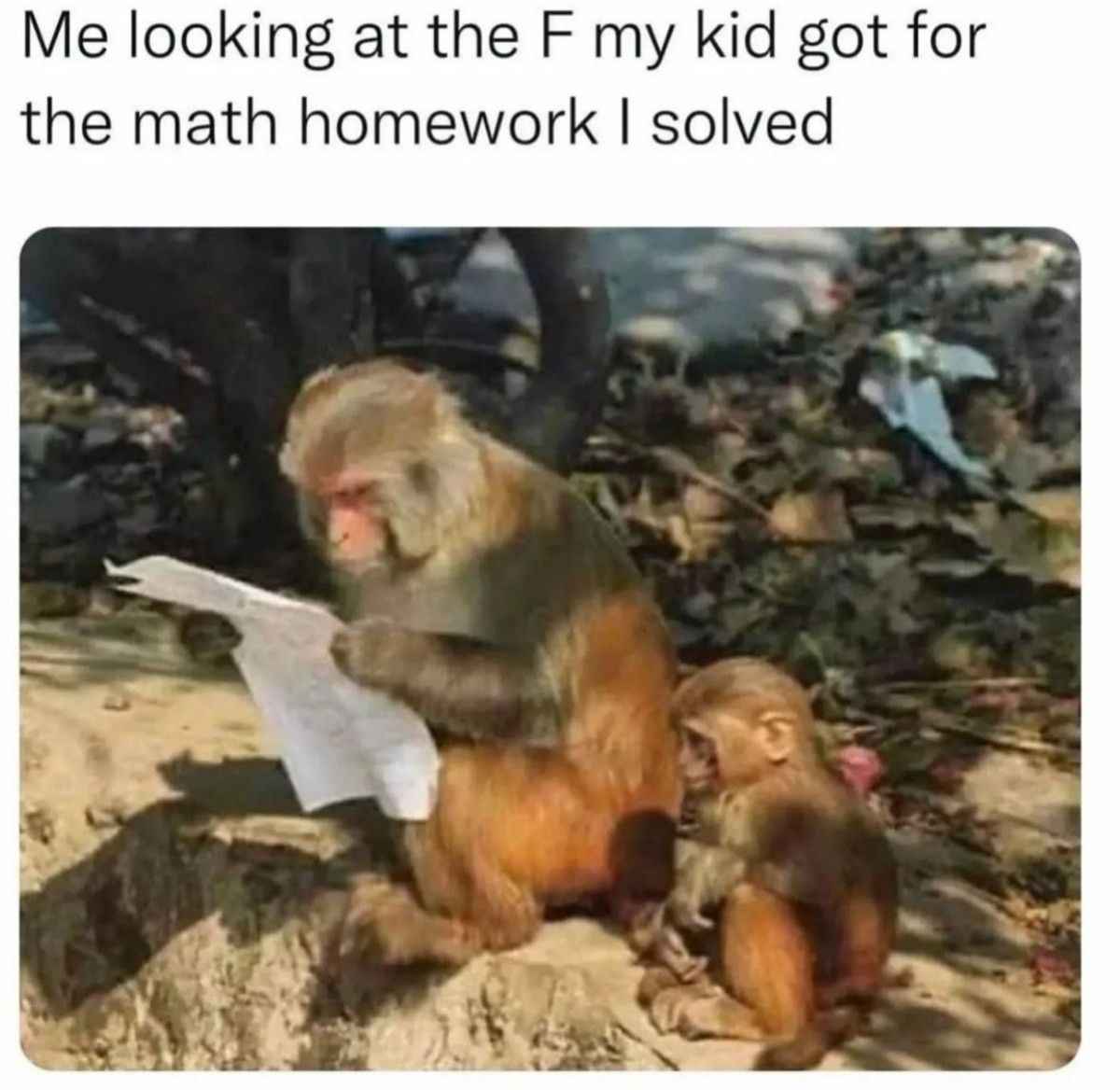 an F
