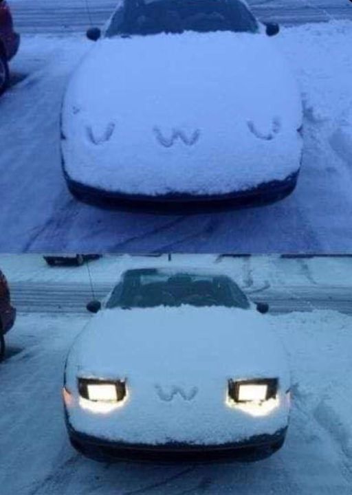 First I was like uwu, but then I OwO'd