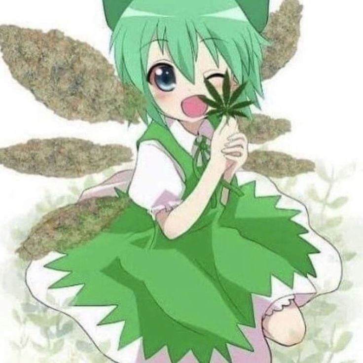 cirno's perfect weed class