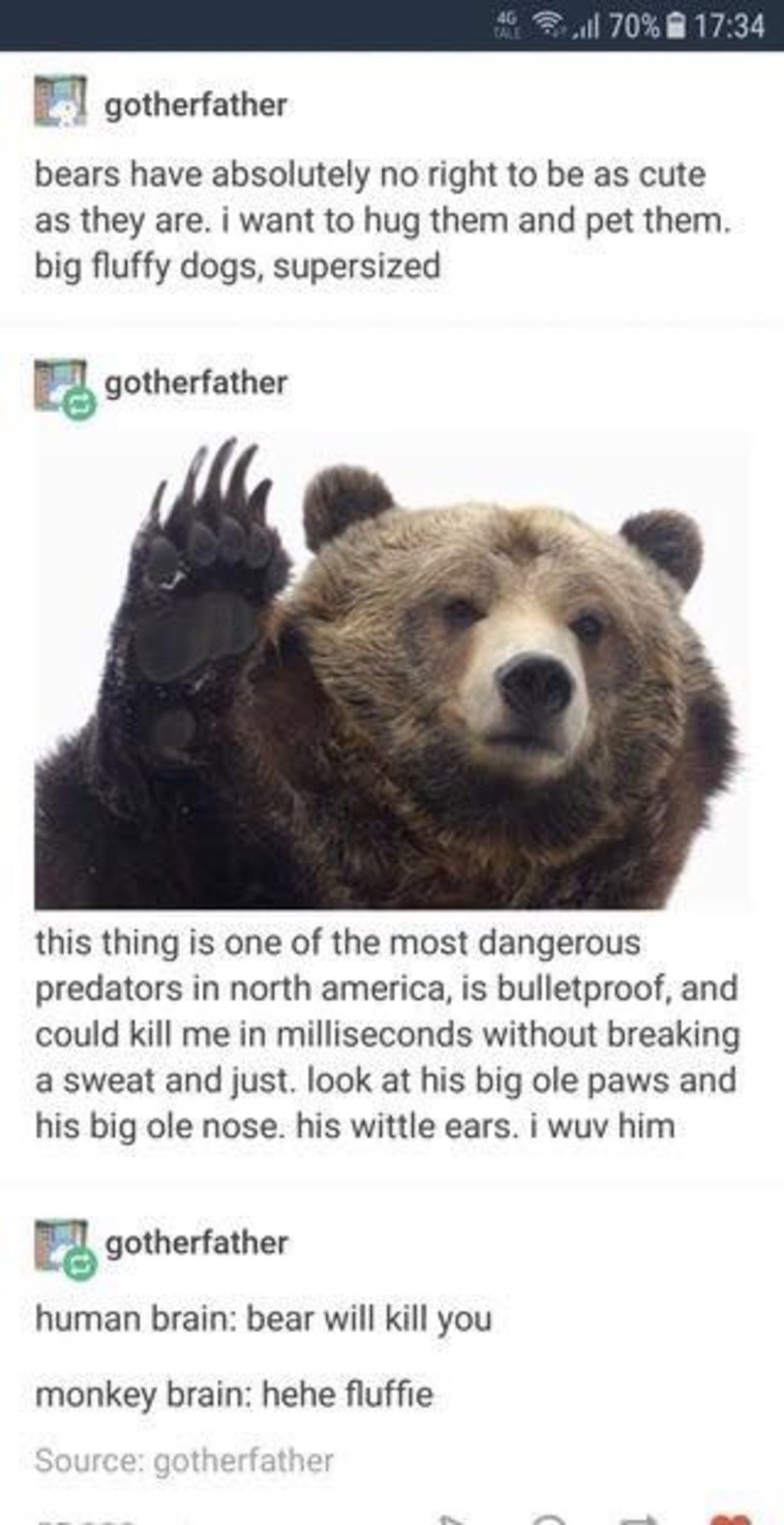 fluff dogo