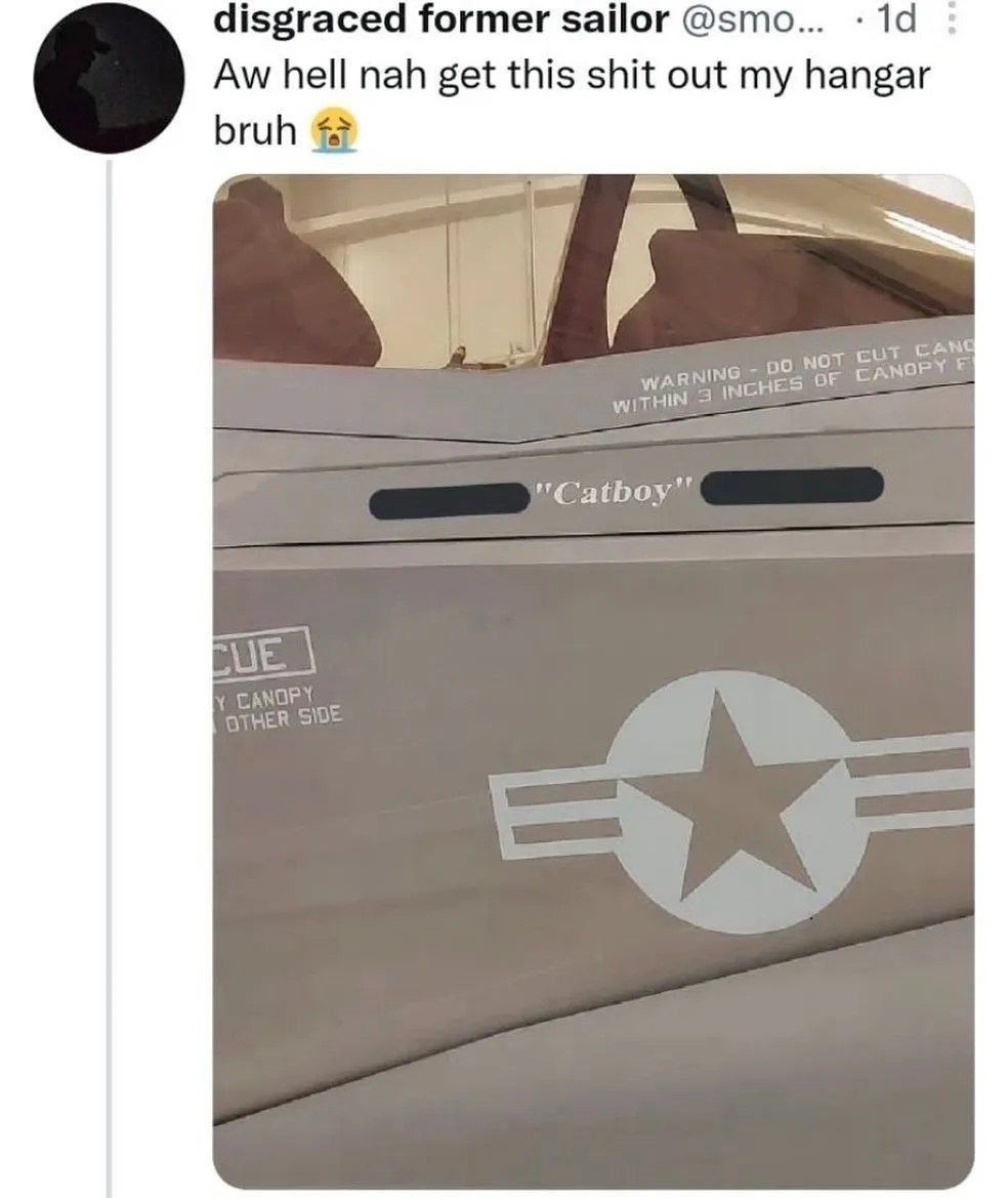 f35 pilots