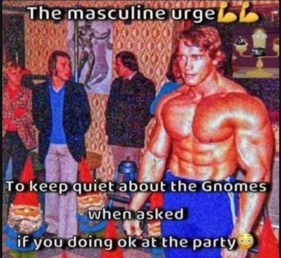 no gnomes