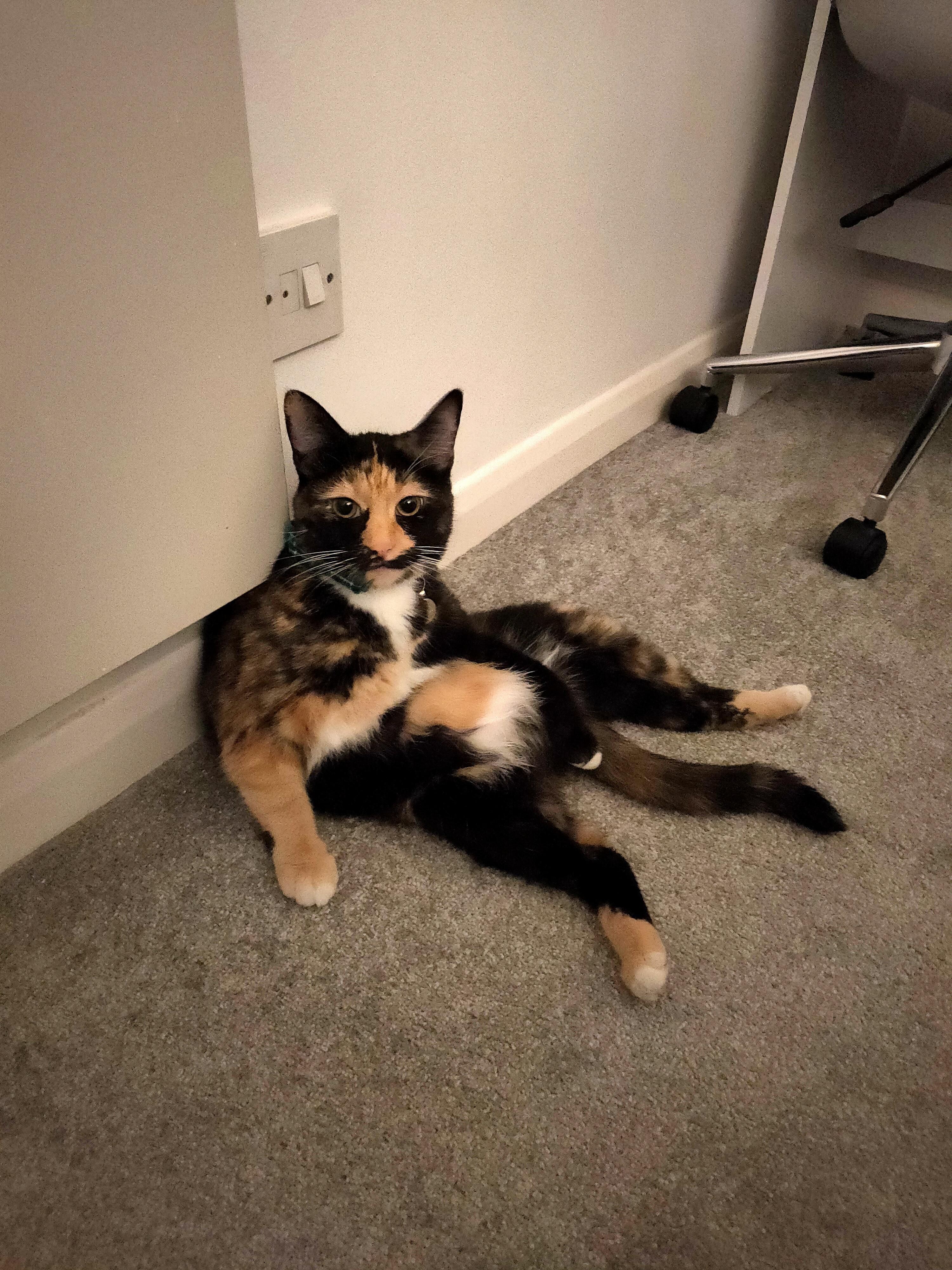 Why does she sit like this?