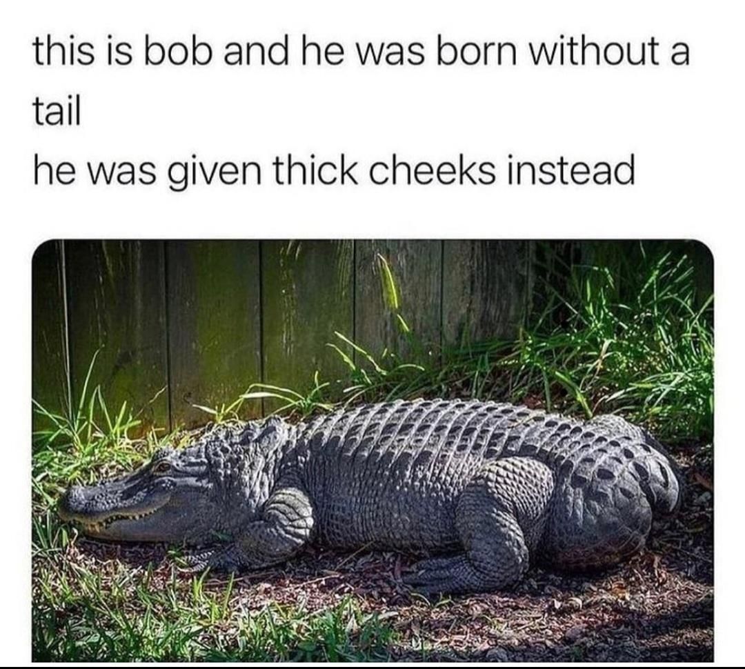 croc cheeks