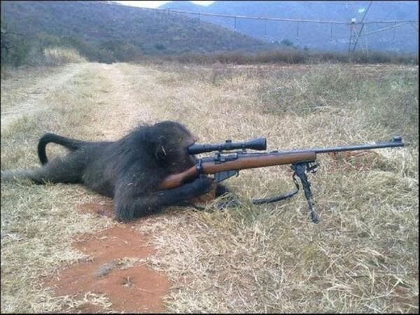 Chee Chee the Monkey, Cold War sniper. Died in battle. Was also very dangerous in hand to hand combat.