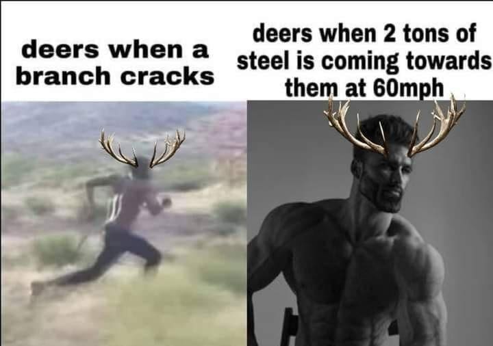 ***