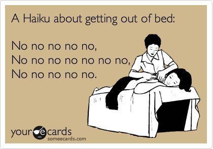 Best Haiku Ever