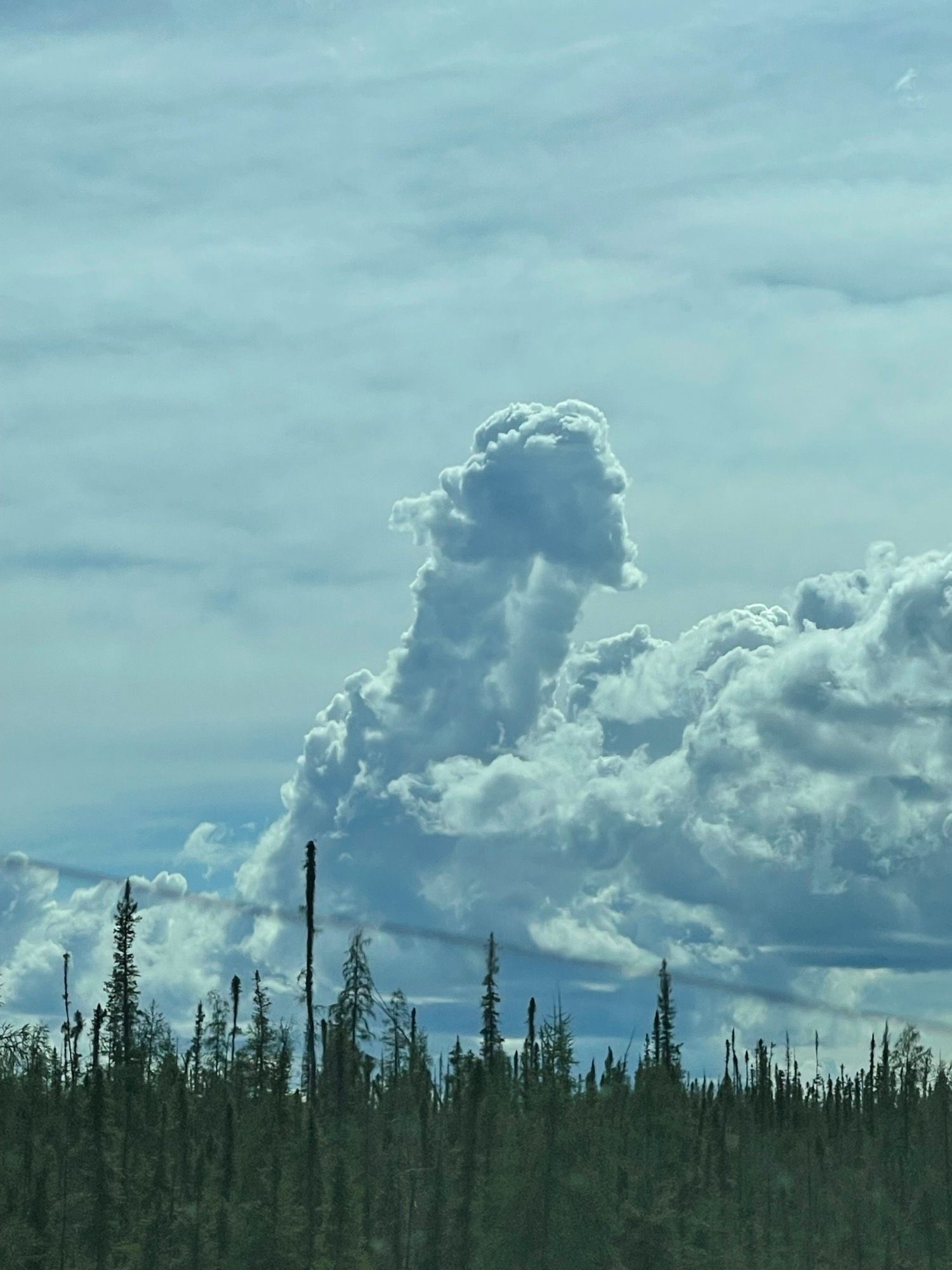 The James Webb telescope might have some cool images, but here is a penis cloud.