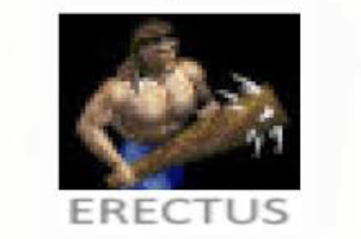***