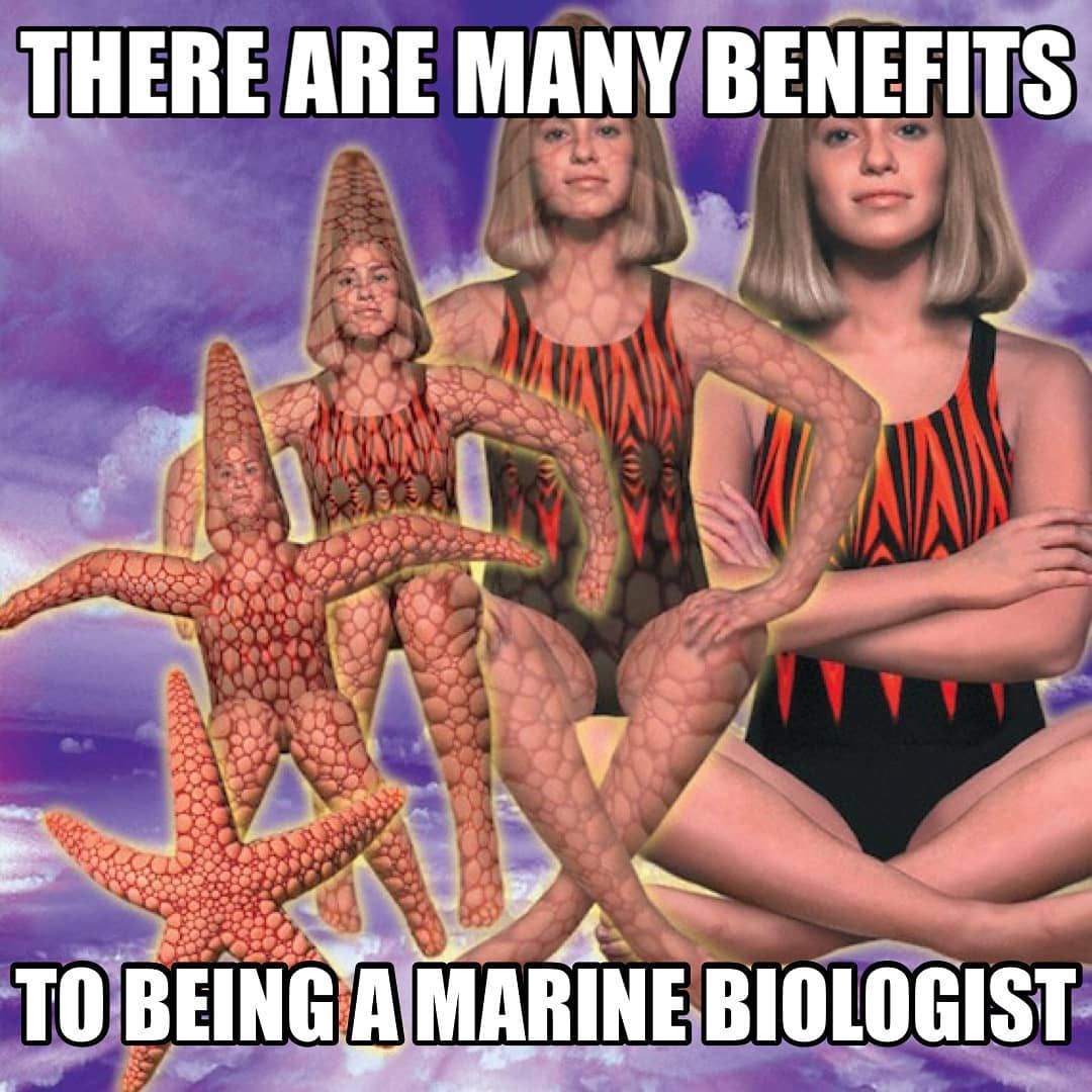 Yes
