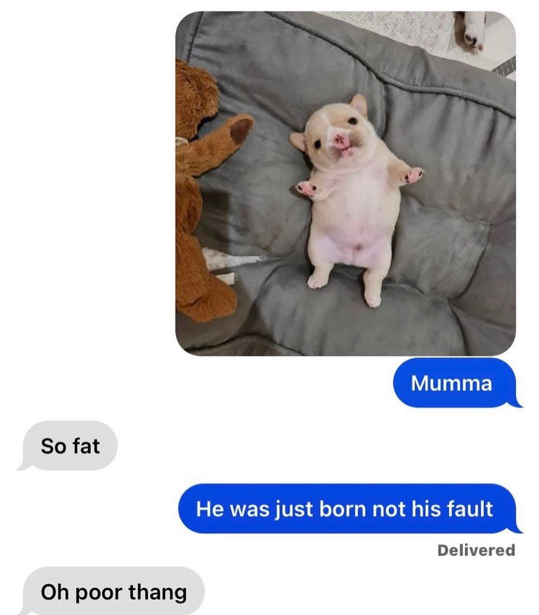 what da dog doin'