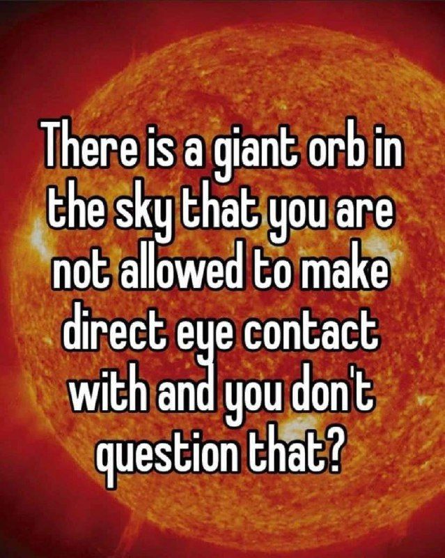 sheeple