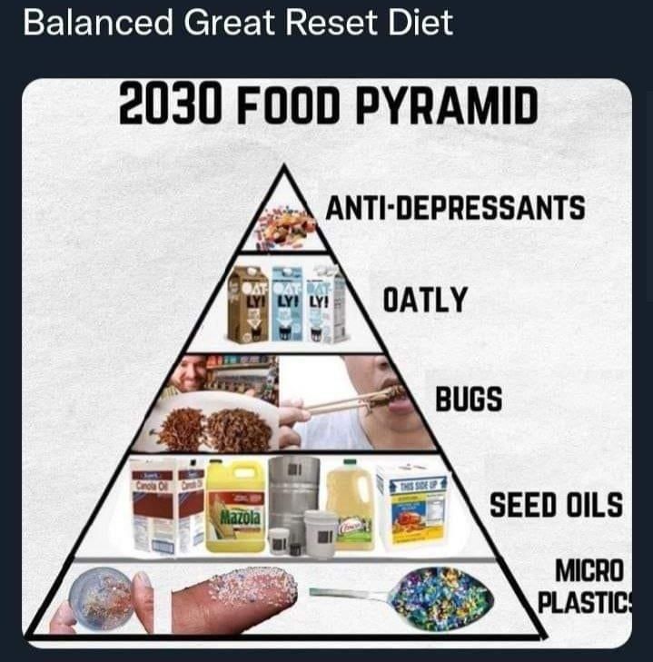The future you wanted