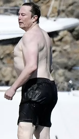 I can't decide if Elon Musk is out of shape, or an elite powerlifter.