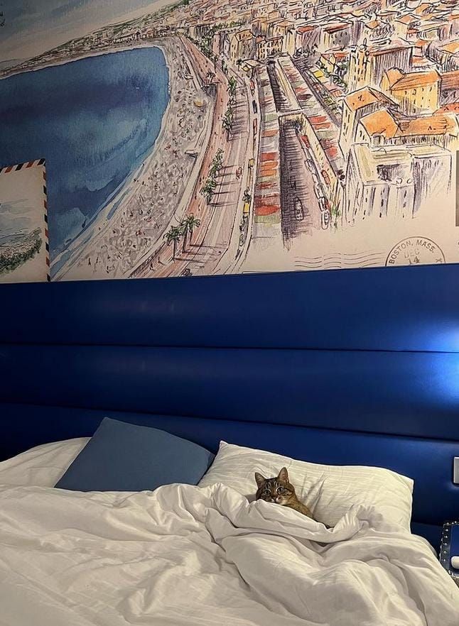 A king bed fit for a king