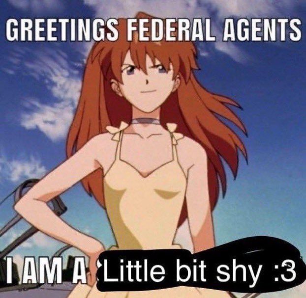 (✺ᵔ‿ᵔ✺)