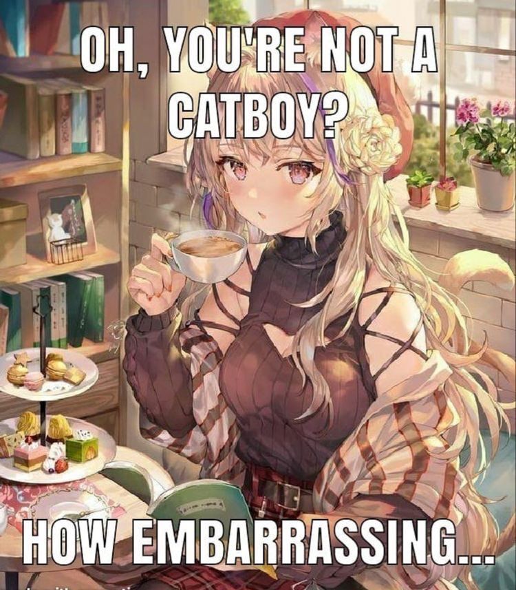 (っ˘̩╭╮˘̩)っ