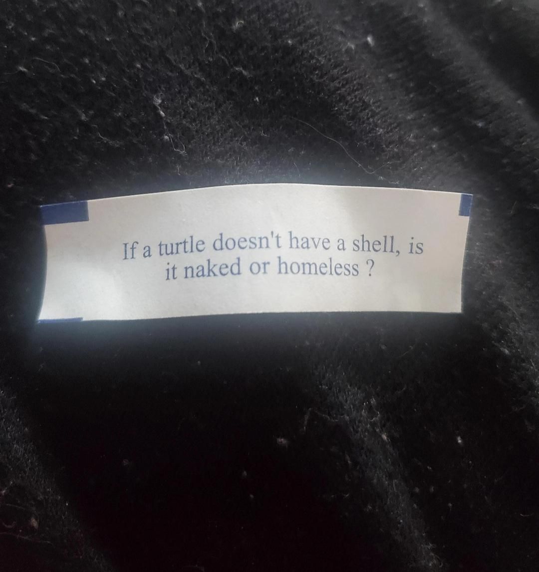 the best fortune cookie