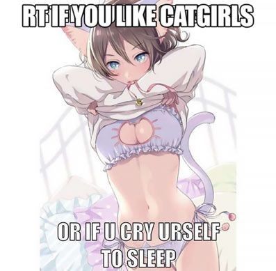 ☜╮(´ิ∀´ิ☜╮)