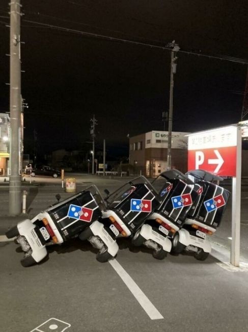 Domino