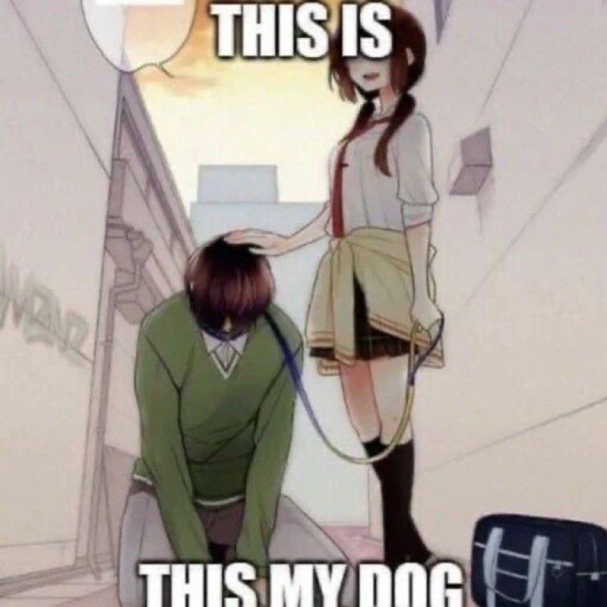(๑￫ܫ￩)