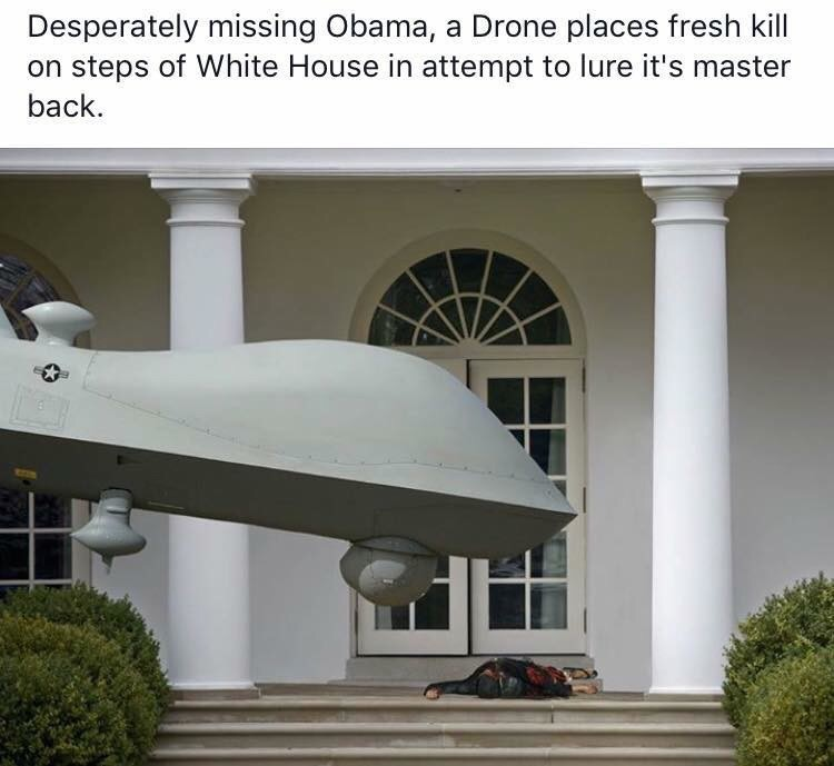 obamna