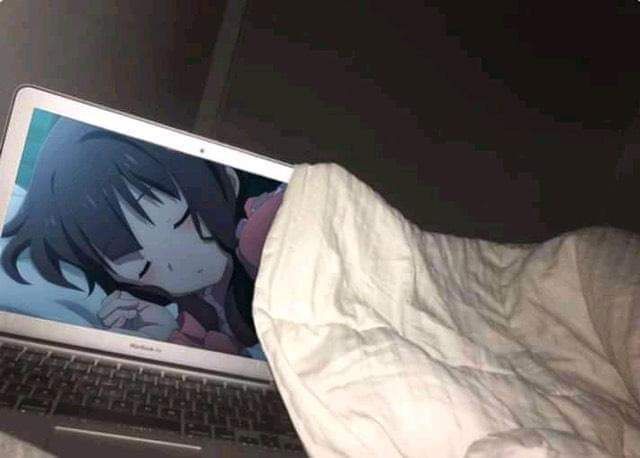 ( っ´ω｀c)