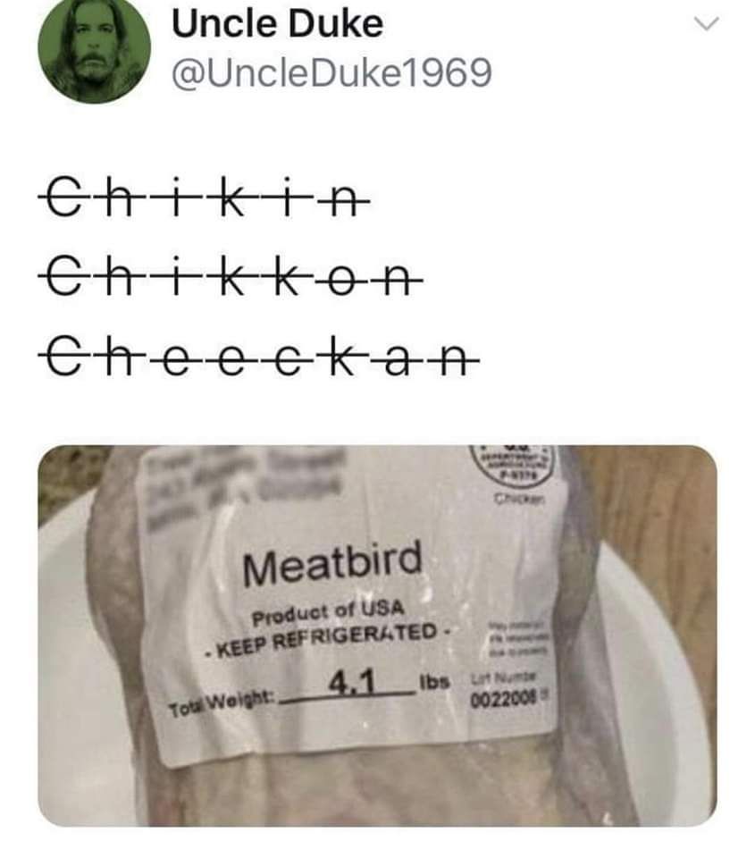 Bird