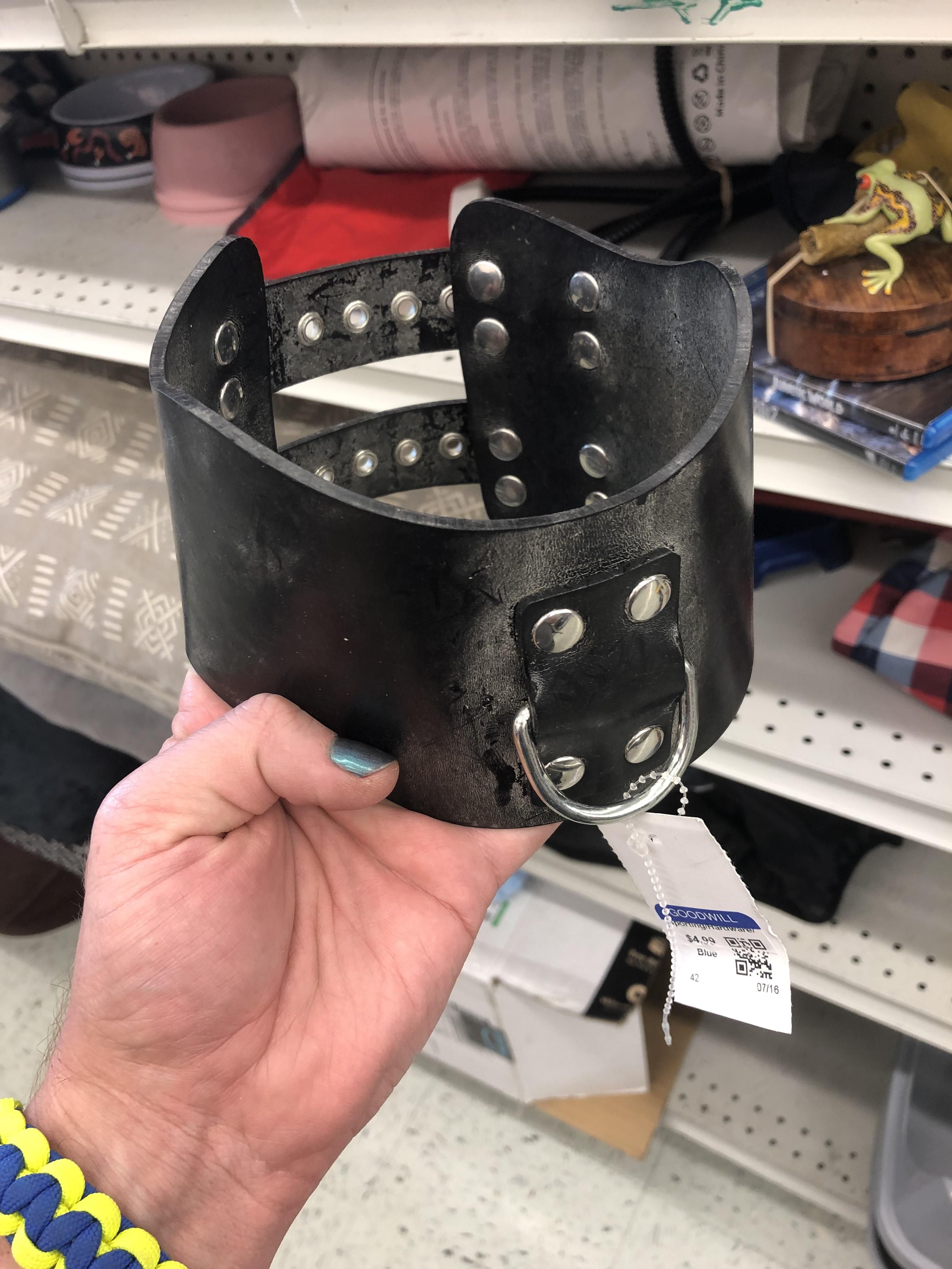 Found among the dog accessories at Goodwill…