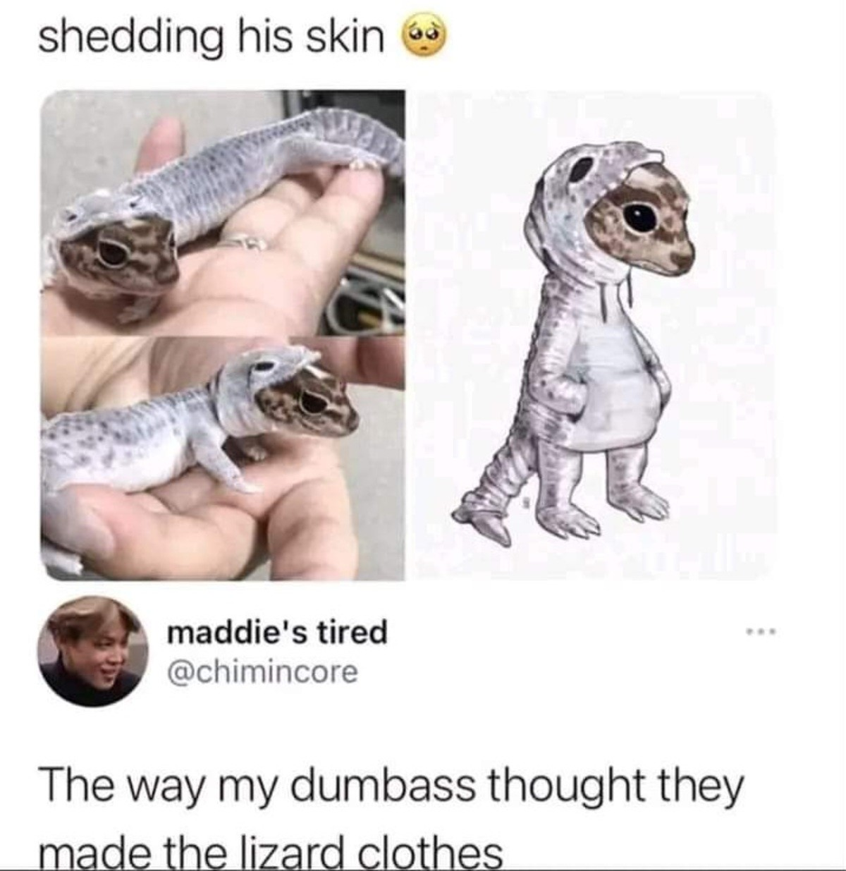 Thats a pokemon, isn't it