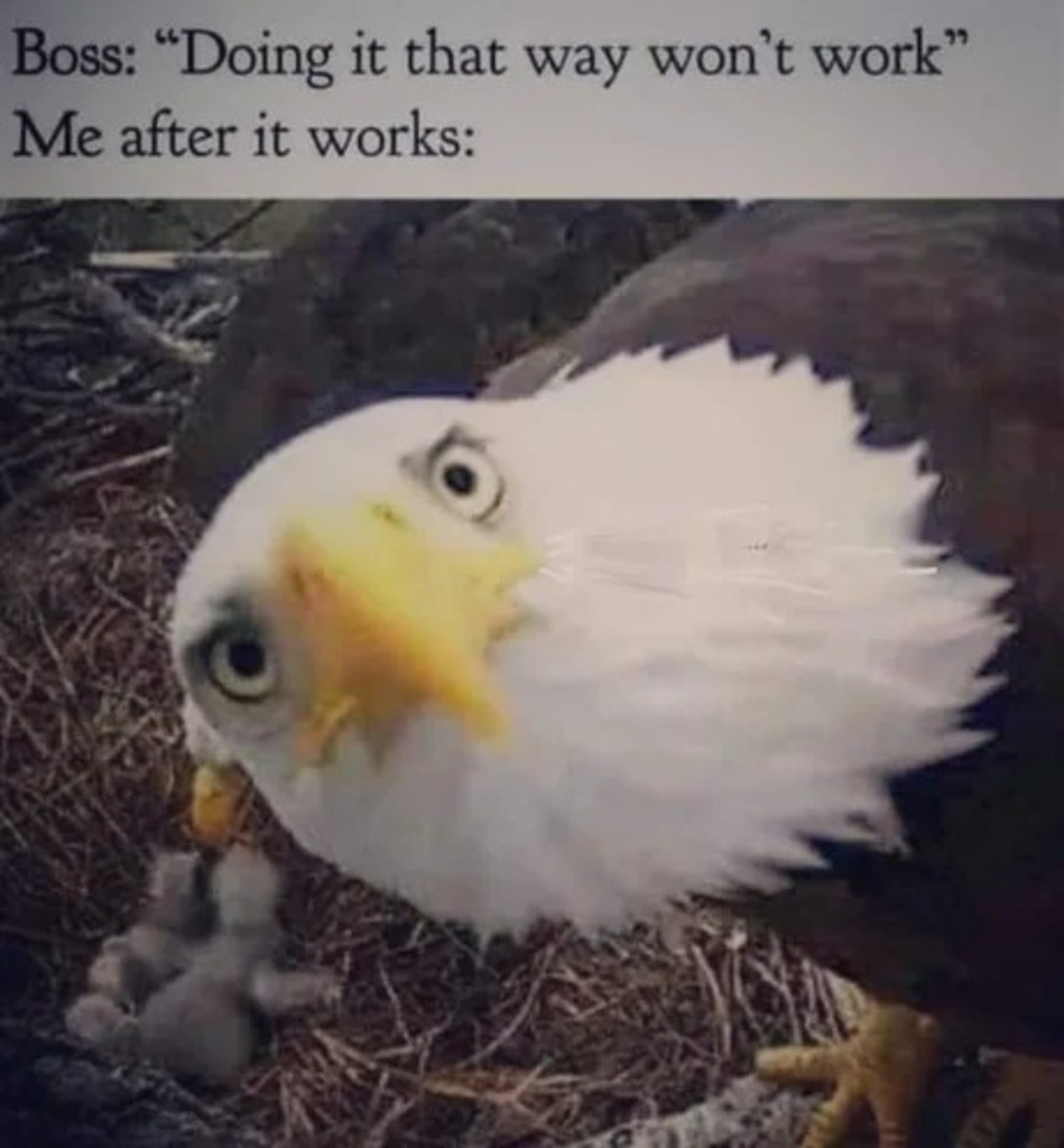 pay more