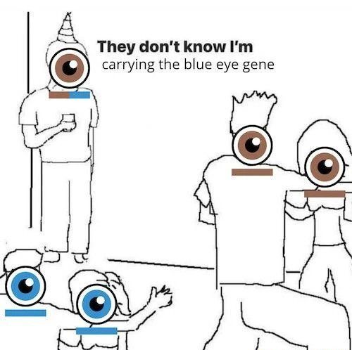 eye