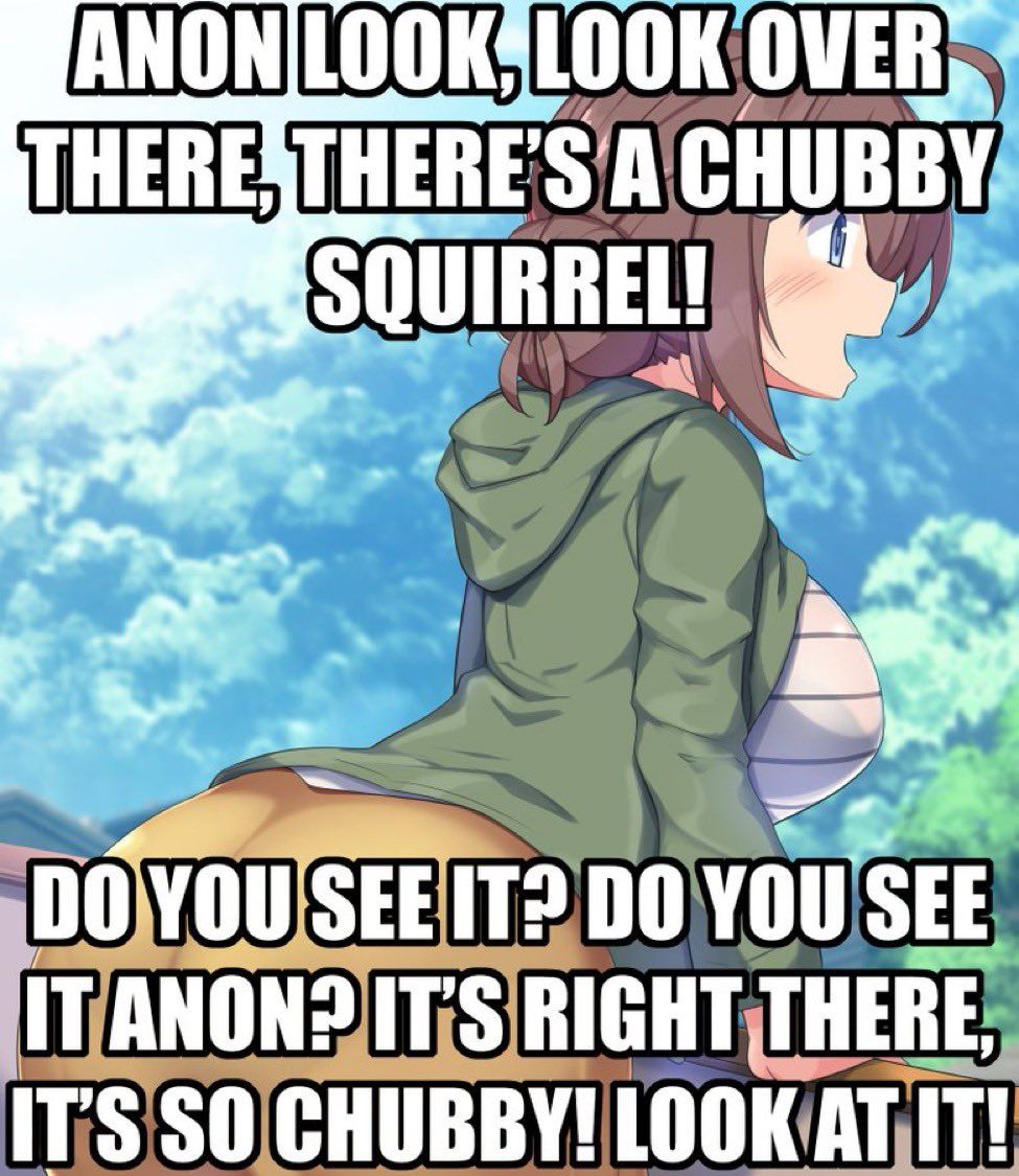 Chubby squirrel