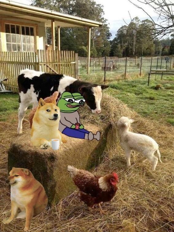farm