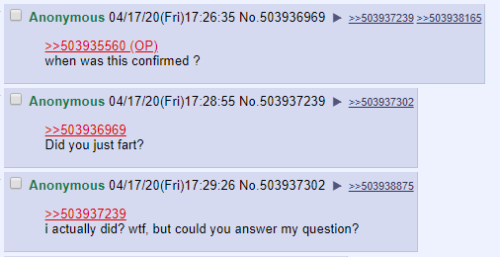 Anon farted