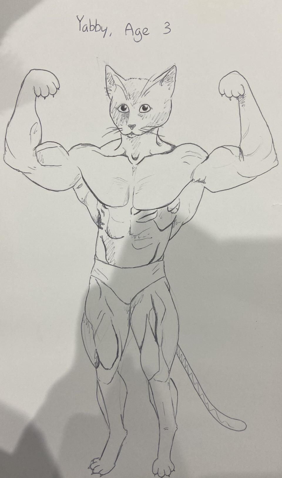 My Girlfriend loves sketching our cats and I came across this one