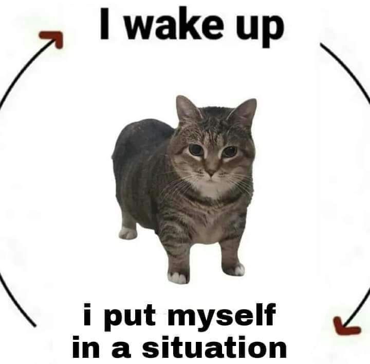 ***