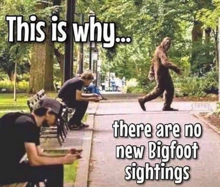 Have you seen that brown, hairy guy in the park?