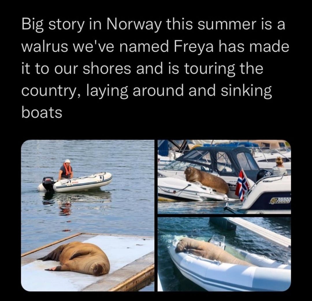 LoL