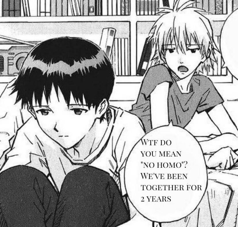 No homo