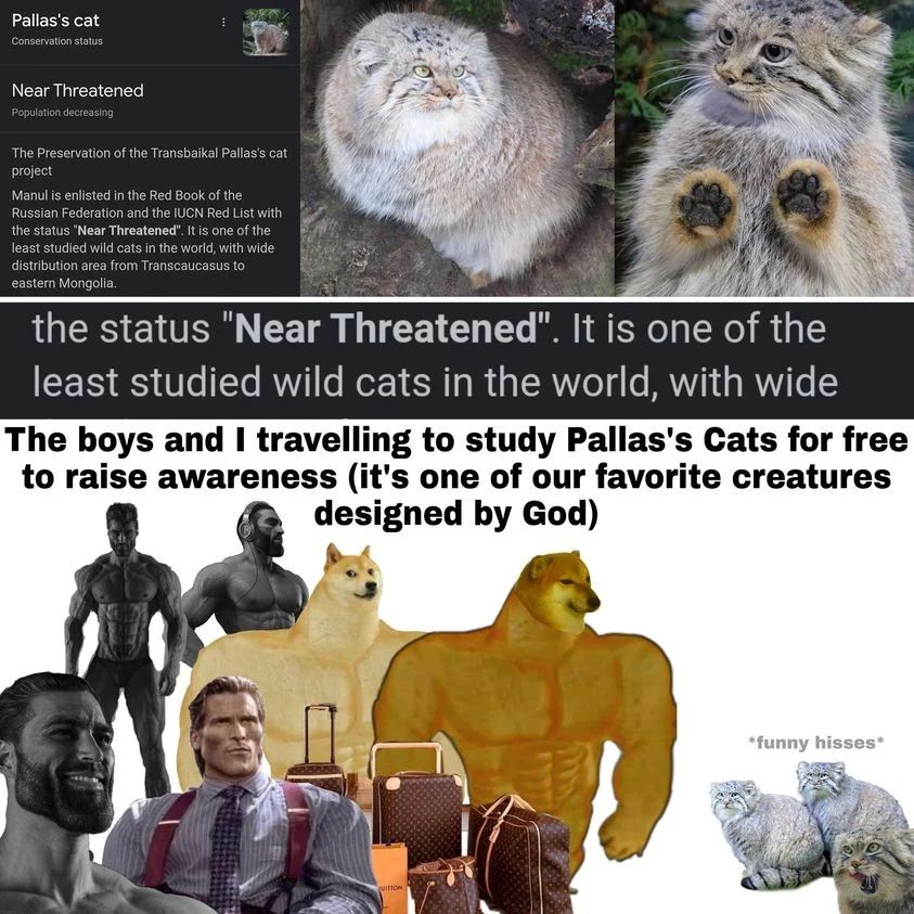 ***