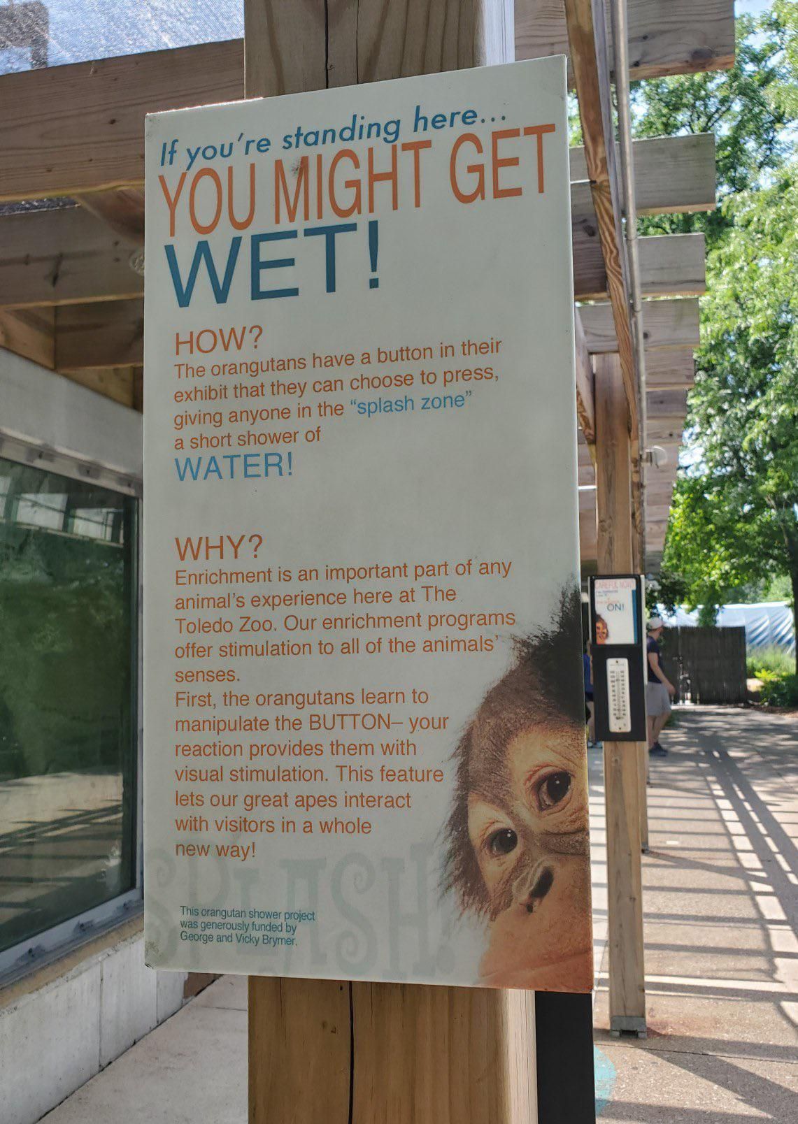 The Toledo Zoo setup a way for orangutans to splash visitors
