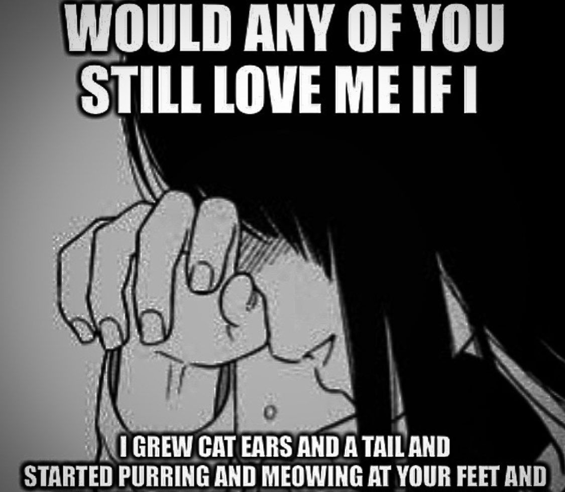 *purr*